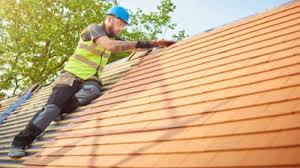 Best Solar Panel Roofing Installation  in La Paloma, TX